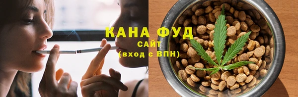 индика Абаза