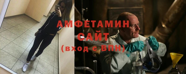 индика Абаза
