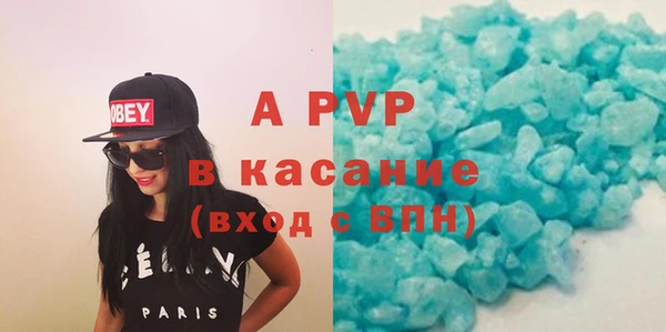 индика Абаза