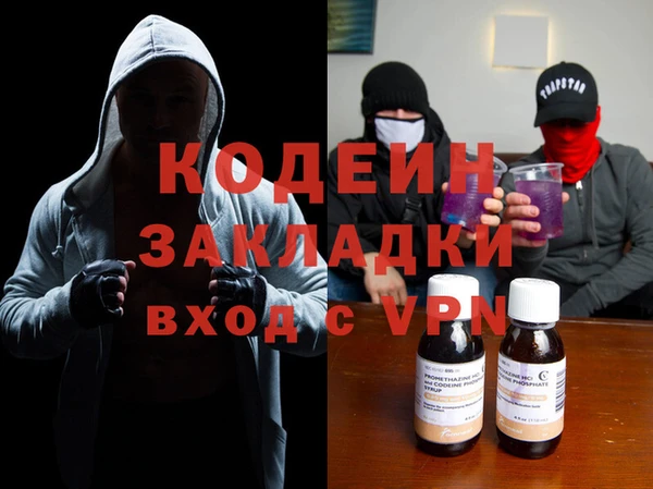 индика Абаза