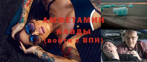 индика Абаза
